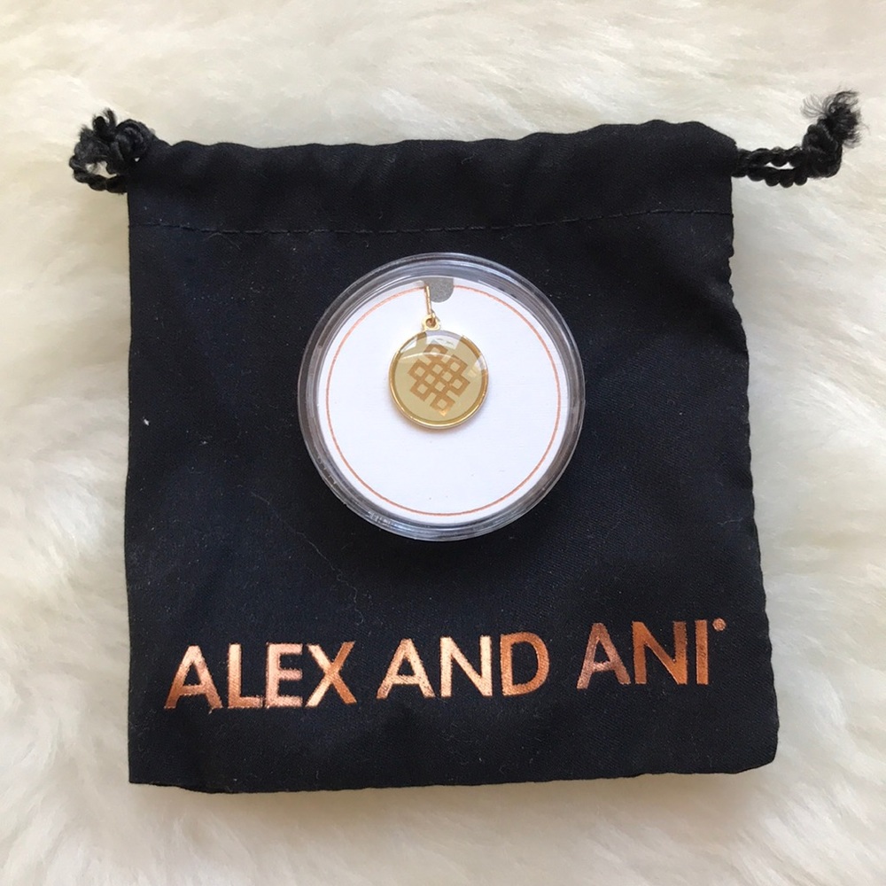 Alex and Ani endless knot necklace charm